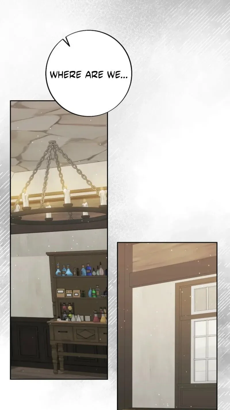 I Opened an Illegal Veterinary Clinic in Another World Chapter 45 page 90
