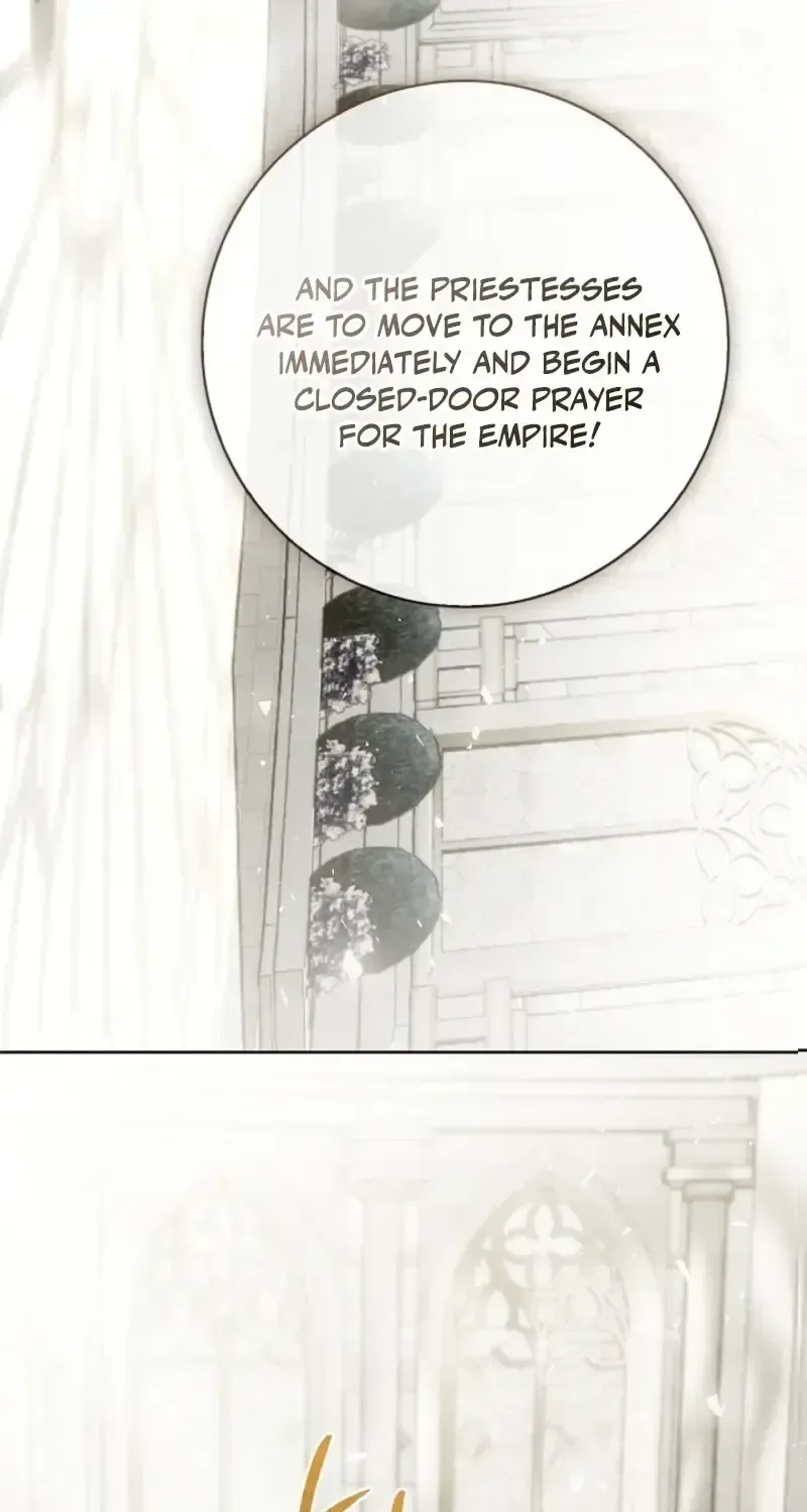Sorry, I got distracted by your looks Chapter 75 page 25