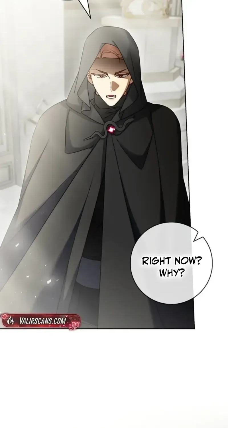Sorry, I got distracted by your looks Chapter 75 page 43