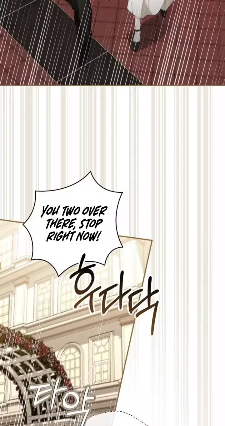 Romance by Chance Chapter 29 page 5