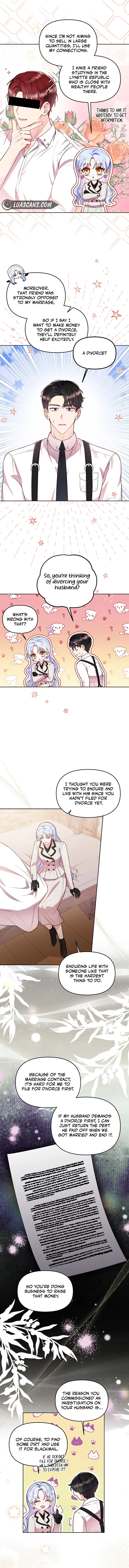 Divorce Plan Chapter 13 page 4