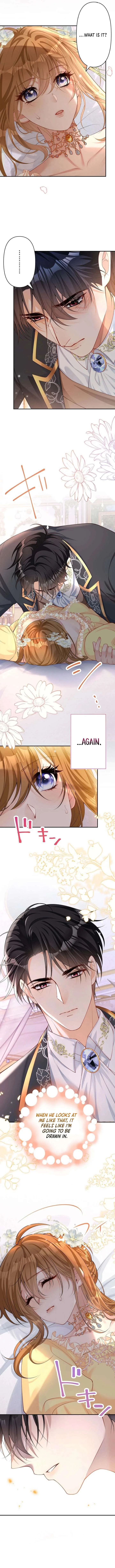 Divorce Was the Plan, but the Prince Won’t Let Me Go Chapter 10 page 4