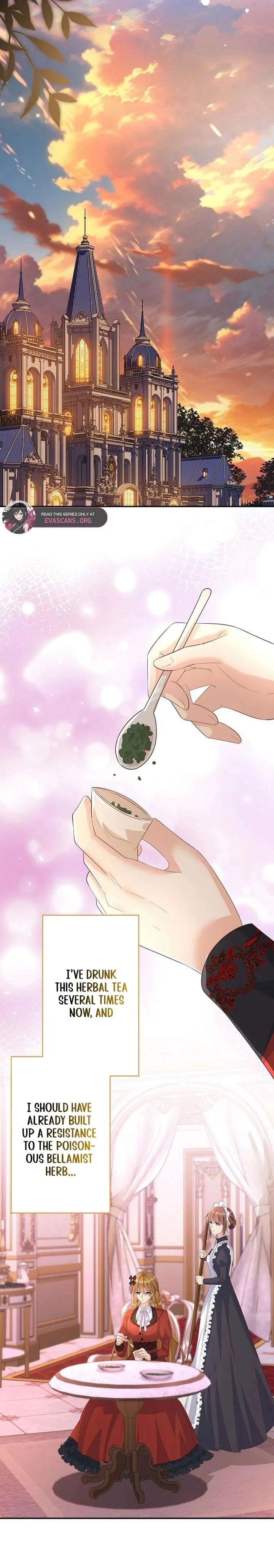 Divorce Was the Plan, but the Prince Won’t Let Me Go Chapter 22 page 12