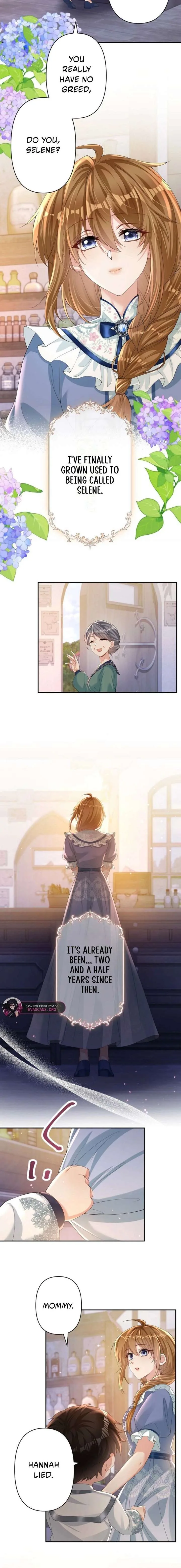 Divorce Was the Plan, but the Prince Won’t Let Me Go Chapter 29 page 6