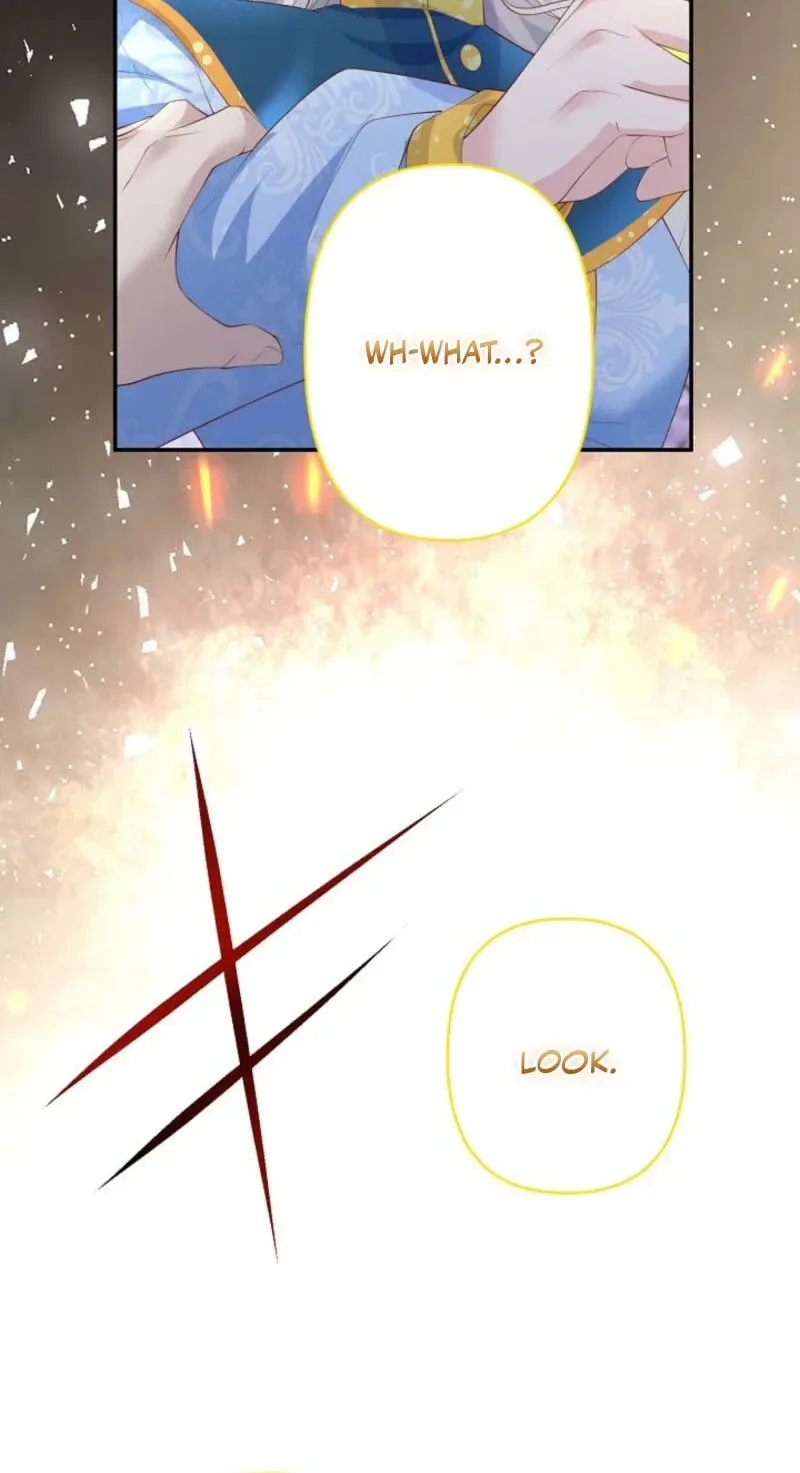 Divorce Was the Plan, but the Prince Won’t Let Me Go Chapter 48 page 74