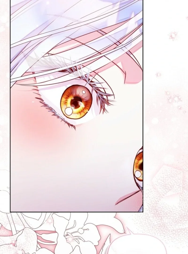 Divorce Plan Chapter 63 page 46
