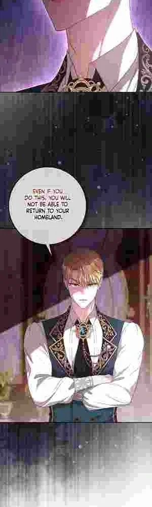 Do All Mothers in Childcare Novels have to Die? Chapter 14 page 29