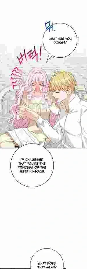Do All Mothers in Childcare Novels have to Die? Chapter 19 page 53