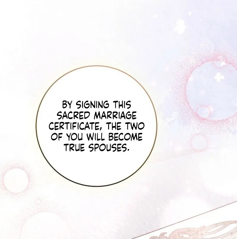 Divorce Plan Chapter 66 page 70