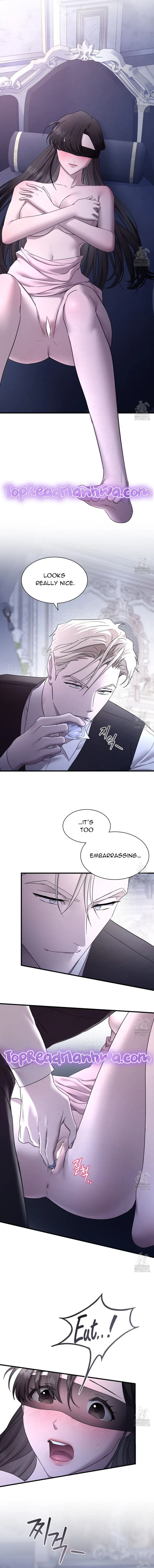 Dominant Castle Chapter 19 page 13