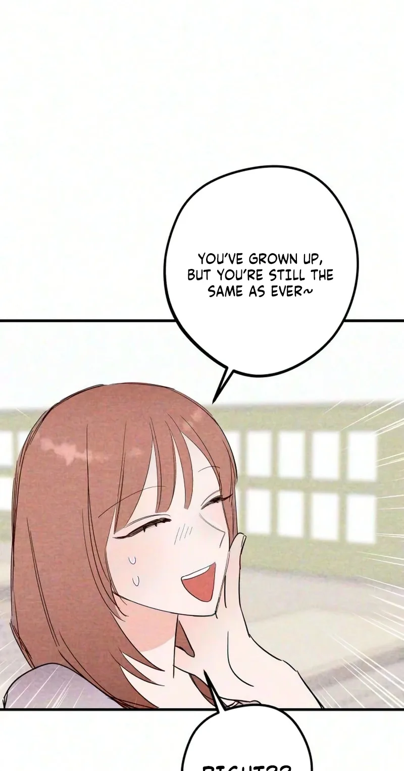 The Perfect Senior's Secret! Chapter 30 page 41