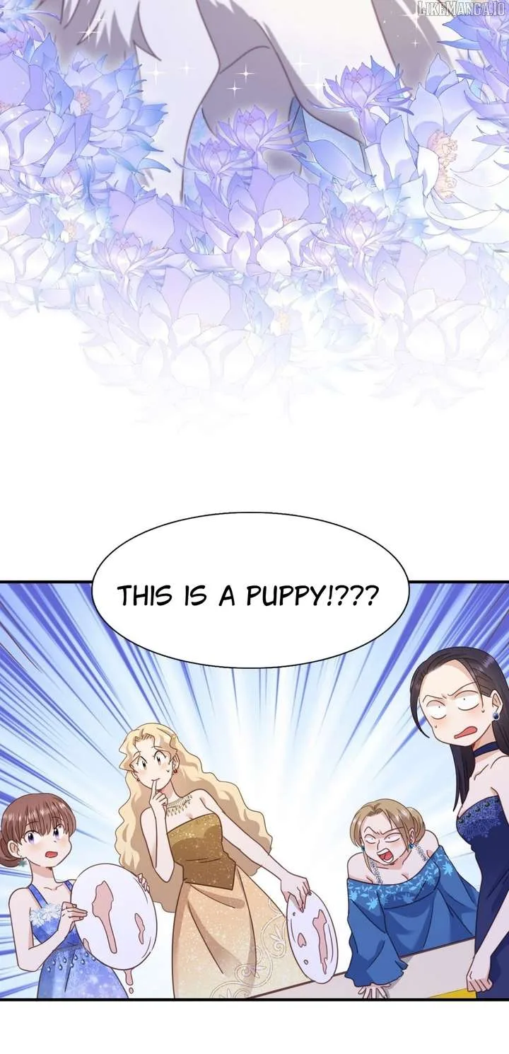 Don’t Embarrass Me Chapter 120 page 17