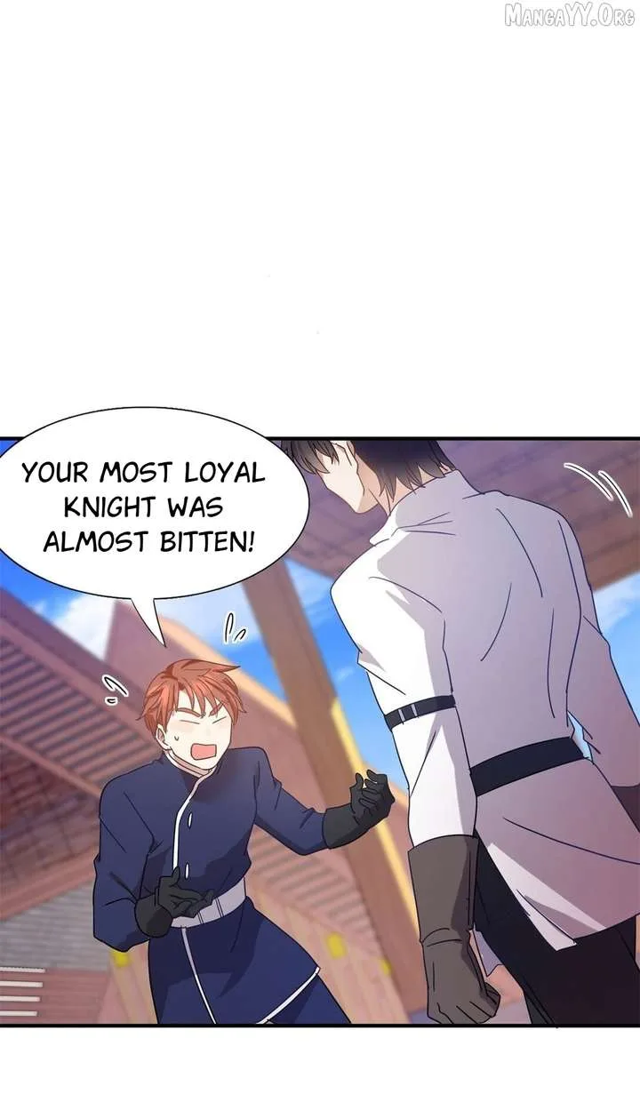 Don’t Embarrass Me Chapter 139 page 13