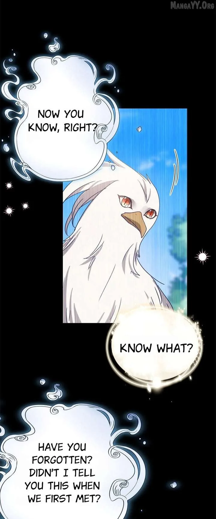 Don’t Embarrass Me Chapter 142 page 12