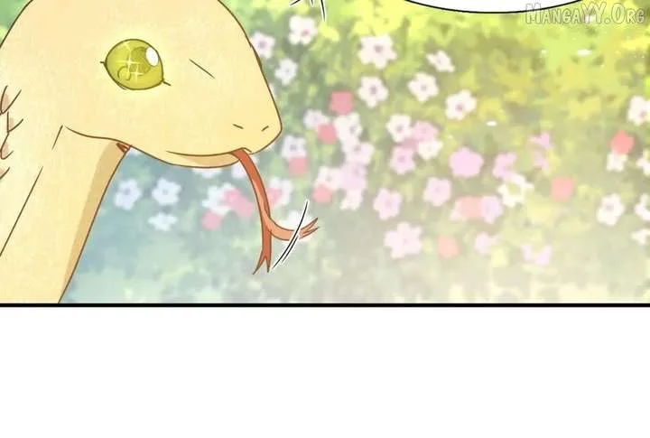Don’t Embarrass Me Chapter 152 page 31