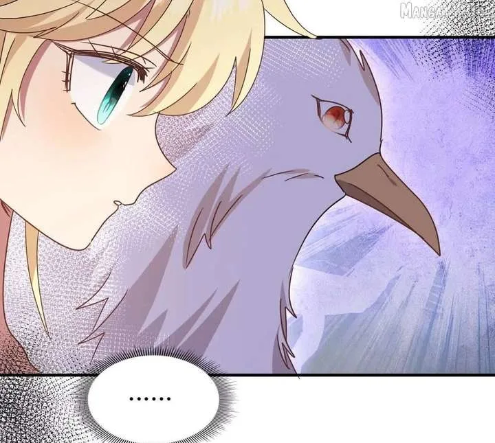 Don’t Embarrass Me Chapter 154 page 48