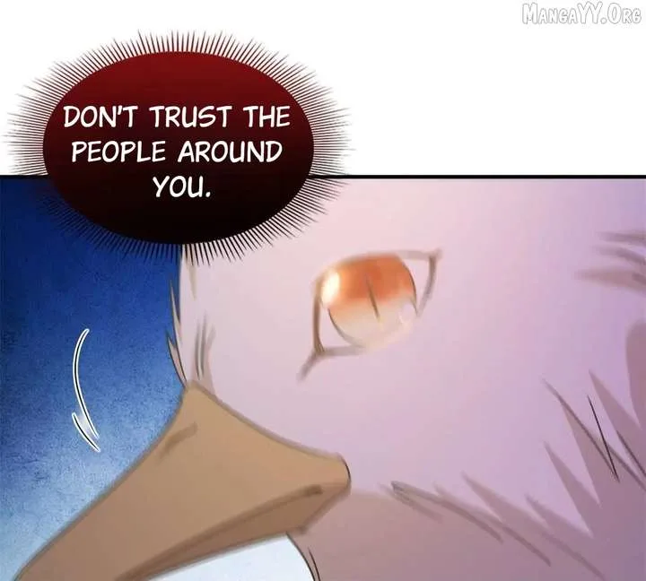 Don’t Embarrass Me Chapter 154 page 50