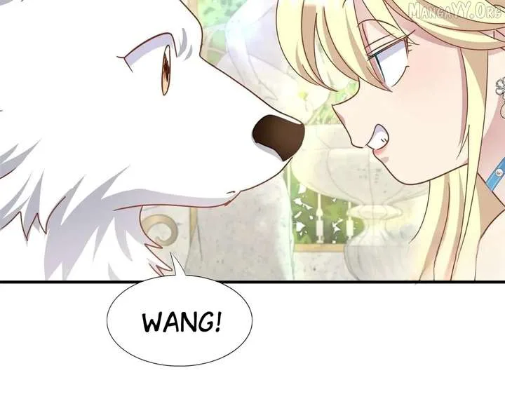 Don’t Embarrass Me Chapter 182 page 48