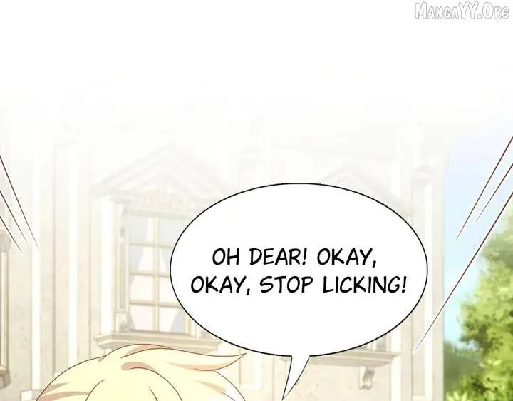 Don’t Embarrass Me Chapter 184 page 38