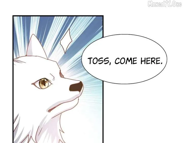 Don’t Embarrass Me Chapter 182 page 54