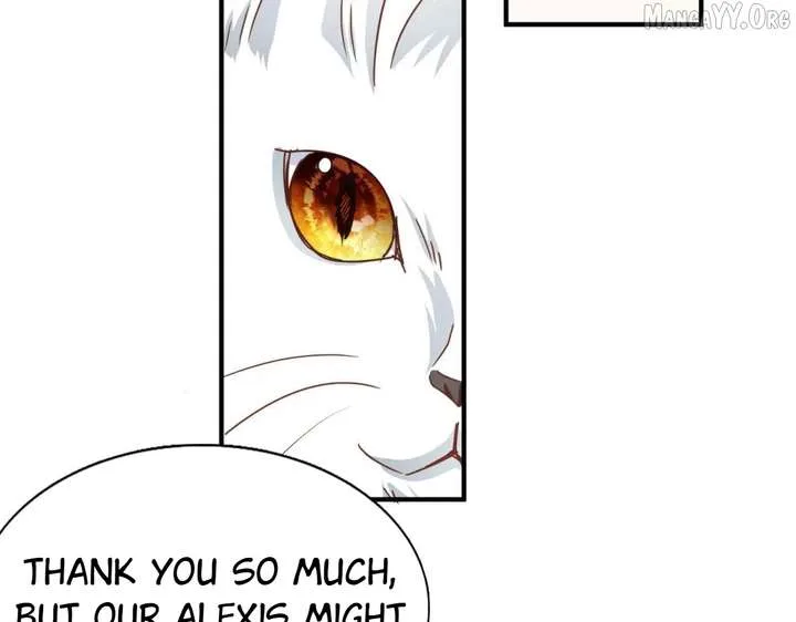 Don’t Embarrass Me Chapter 185 page 49