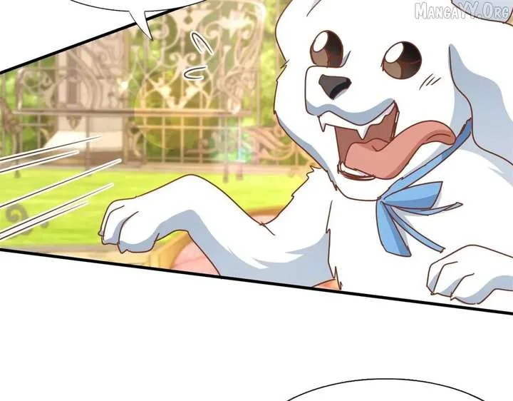 Don’t Embarrass Me Chapter 186 page 53
