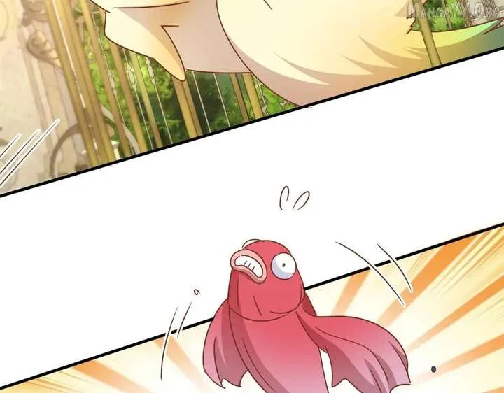 Don’t Embarrass Me Chapter 186 page 51