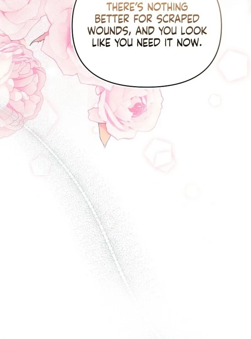 Divorce Plan Chapter 64 page 132