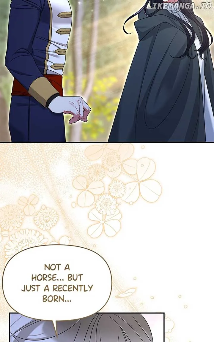 Don’t Grab the Broken Branch Chapter 39 page 49
