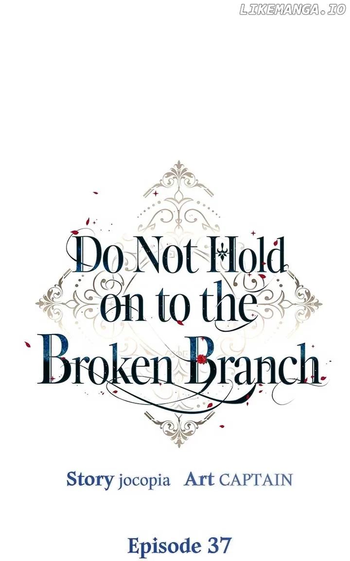 Don’t Grab the Broken Branch Chapter 37 page 14