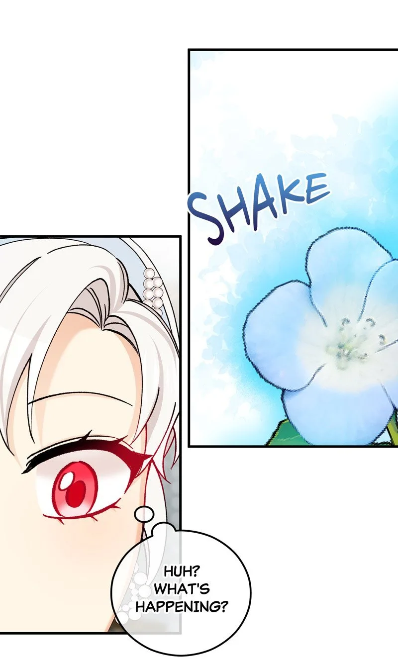 Don’t Look Back, Seisia! Chapter 68 page 45