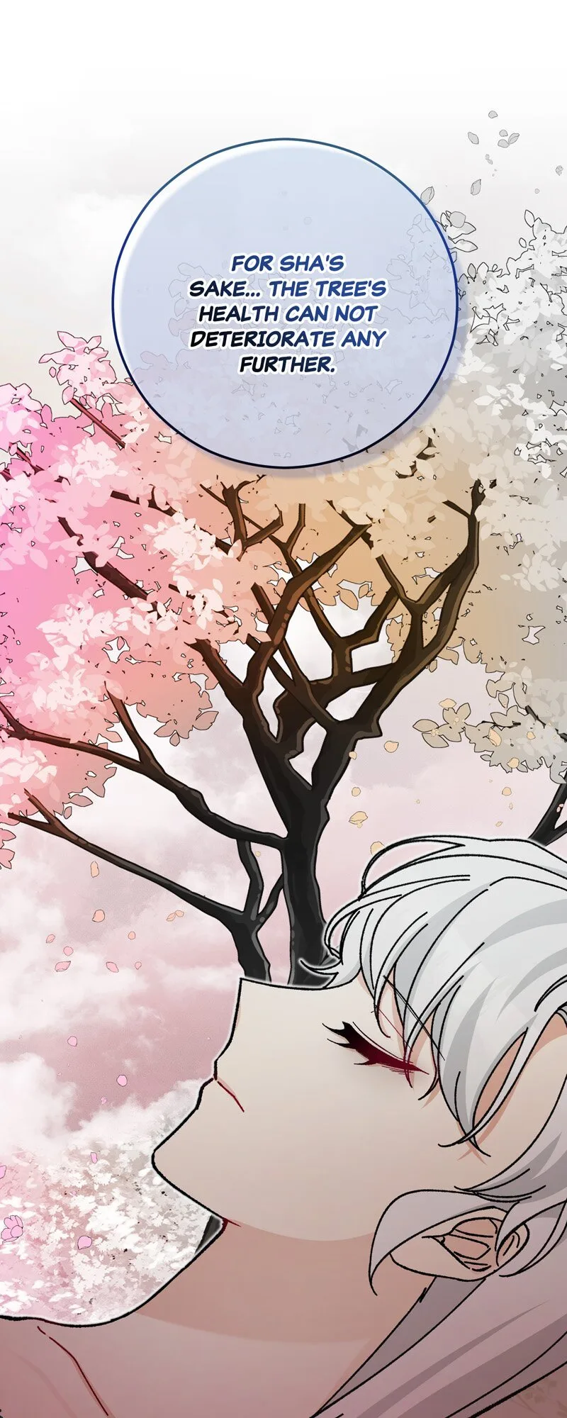 Don’t Look Back, Seisia! Chapter 97 page 41