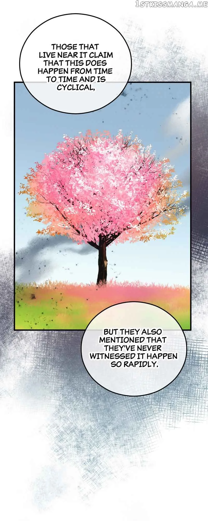 Don’t Look Back, Seisia! Chapter 42 page 51