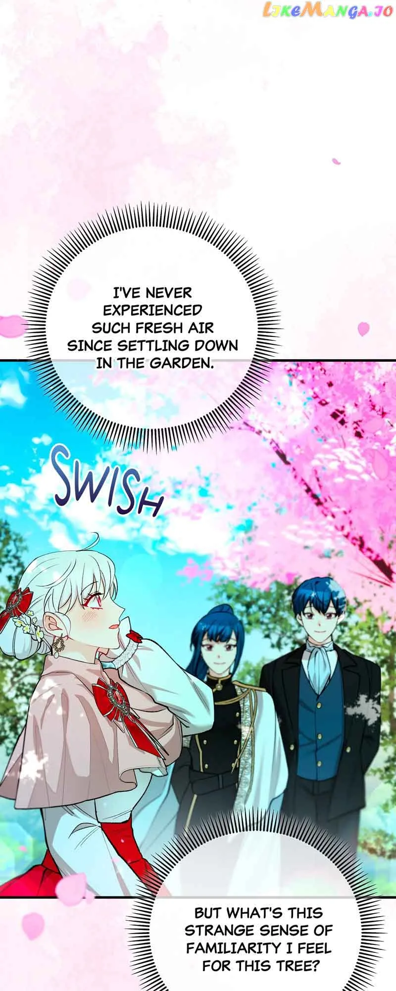 Don’t Look Back, Seisia! Chapter 47 page 16
