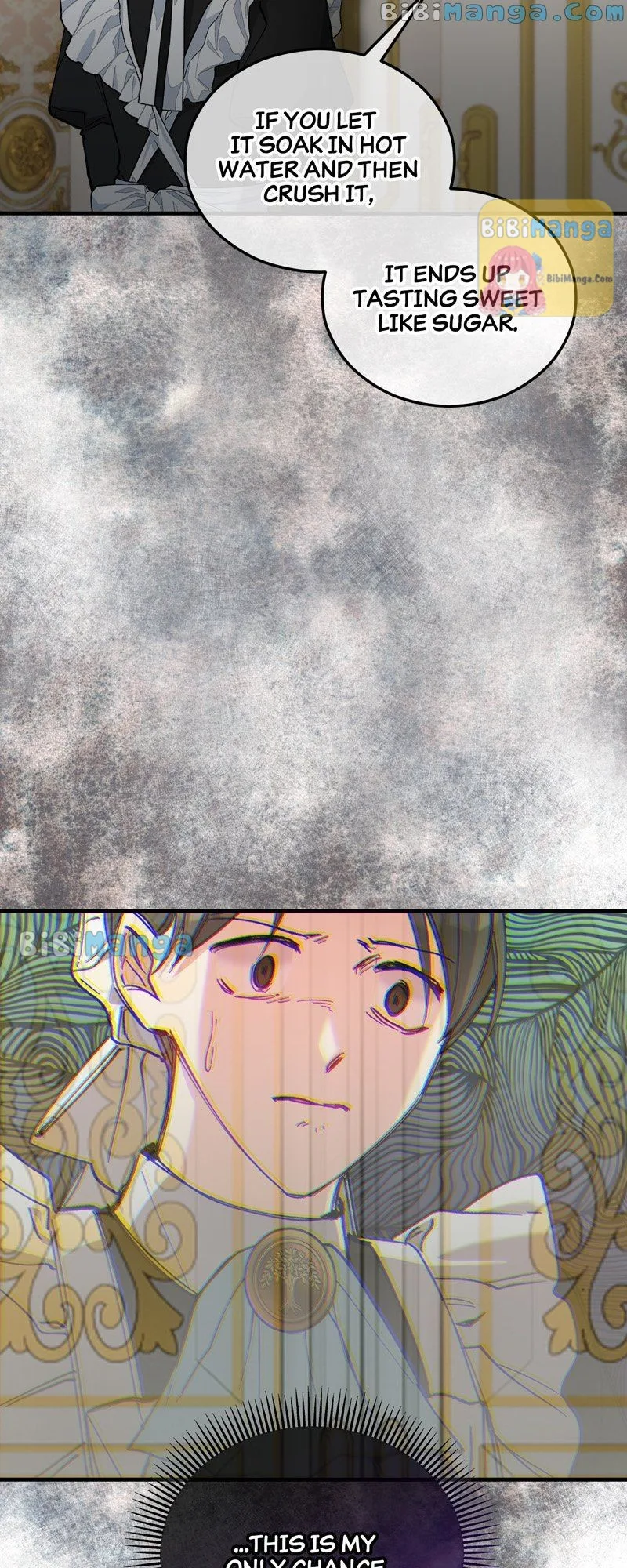 Don’t Look Back, Seisia! Chapter 35 page 23