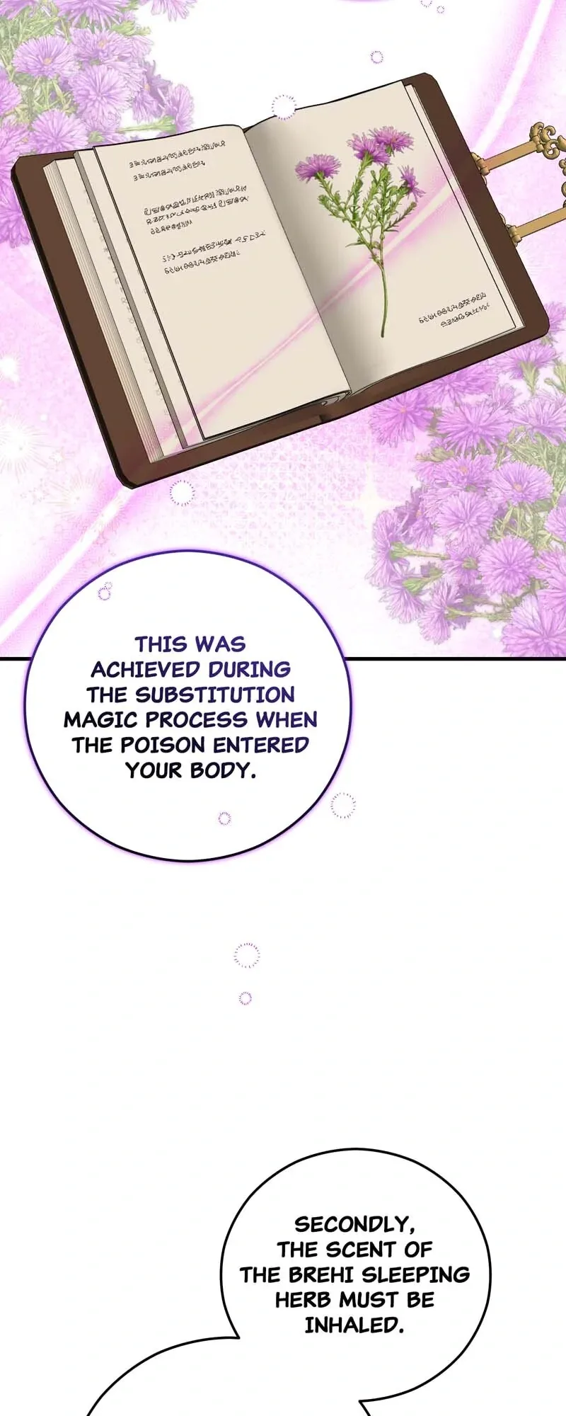 Don’t Look Back, Seisia! Chapter 120 page 51
