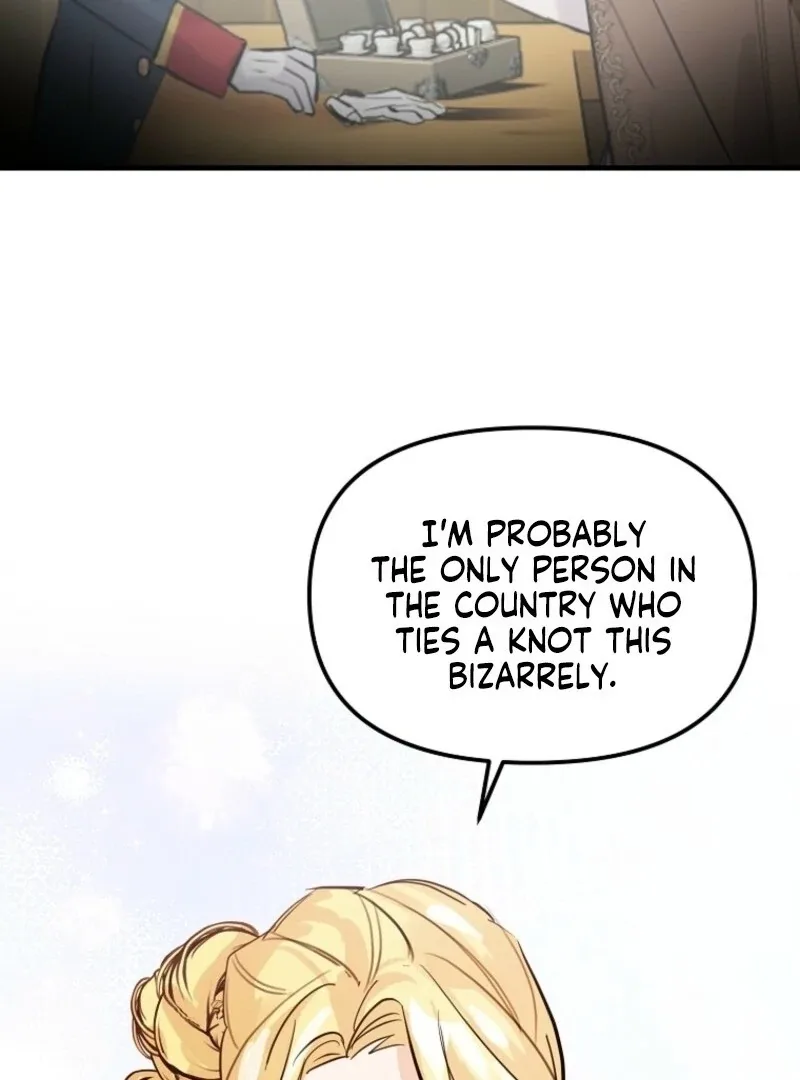 Don’t Tame the Tomboy Chapter 38 page 88