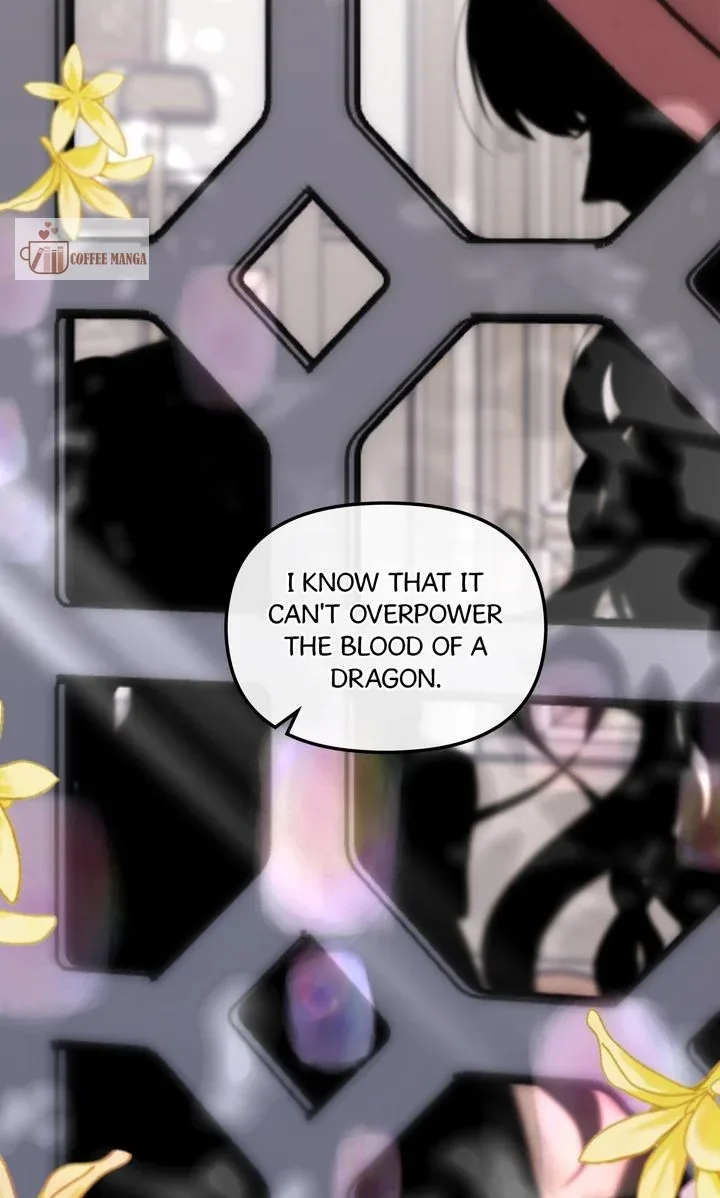 Dragondaily Chapter 40 page 42