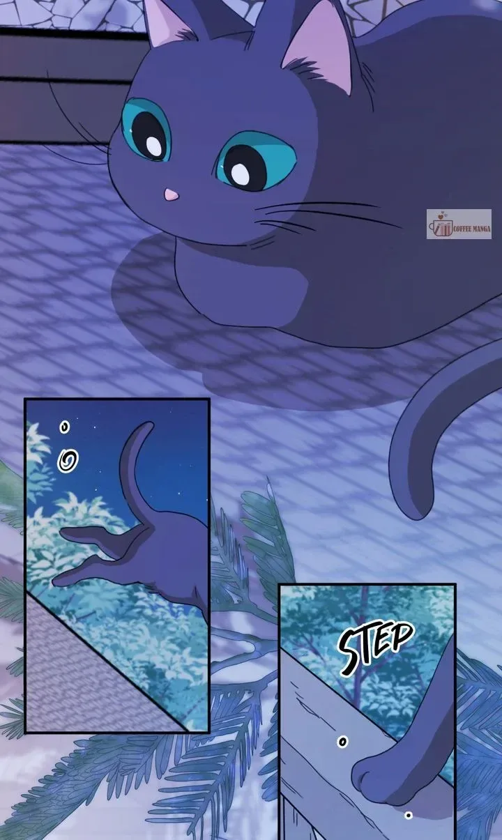 Dragondaily Chapter 45 page 6
