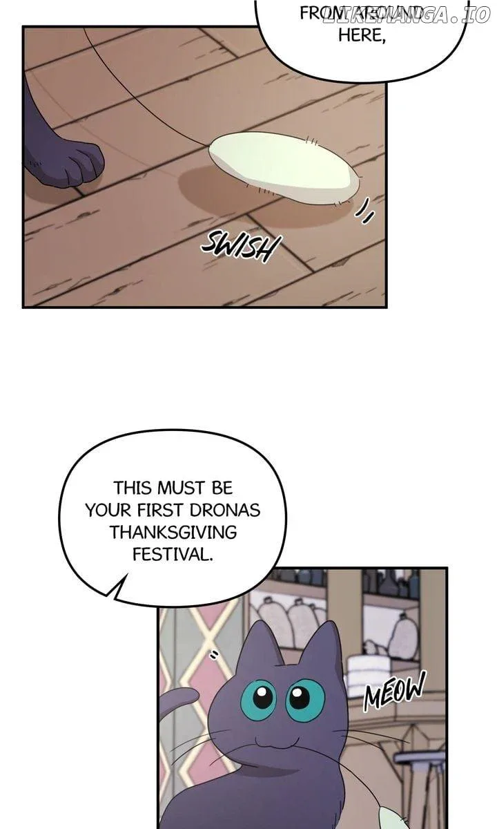 Dragondaily Chapter 35 page 39