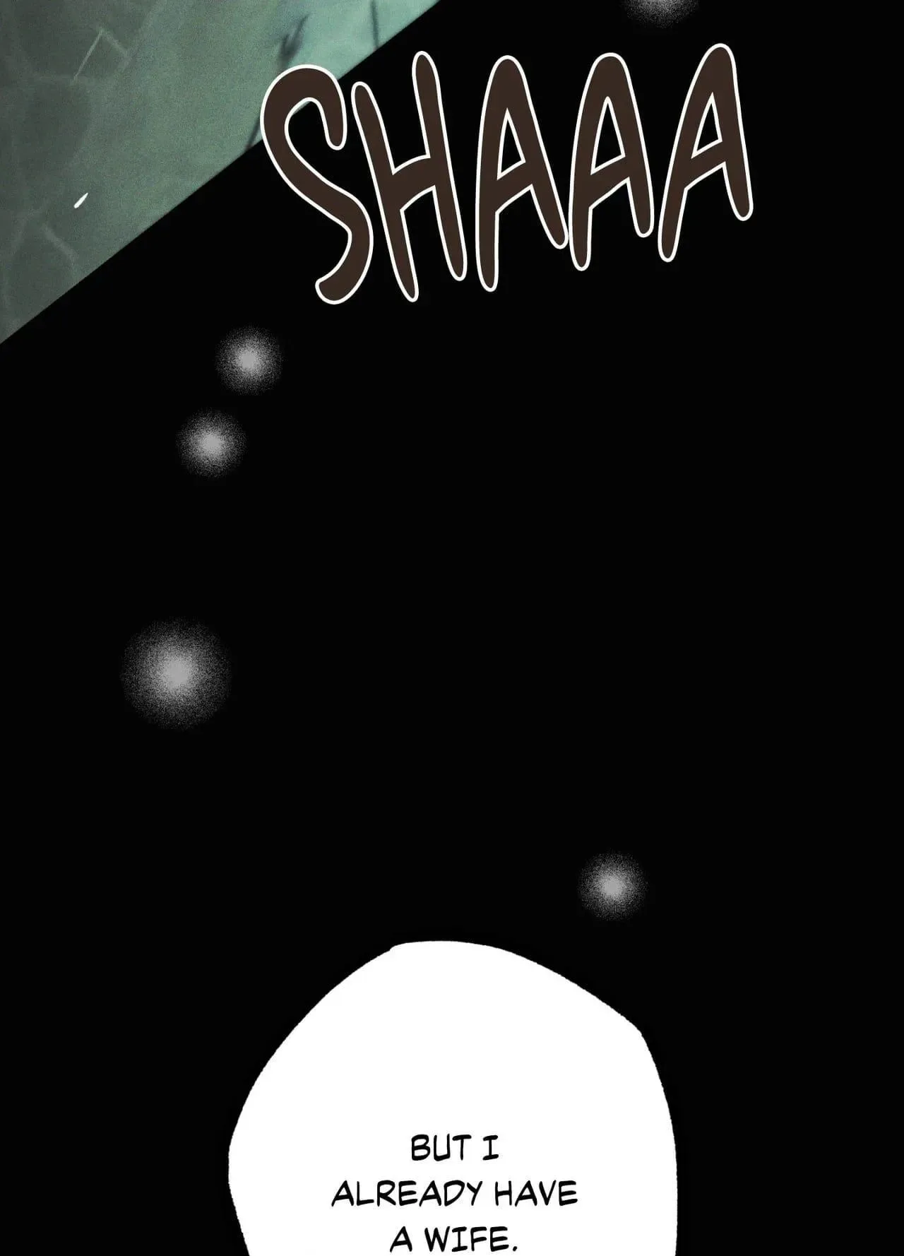 The Principal Wife Chapter 4 page 95
