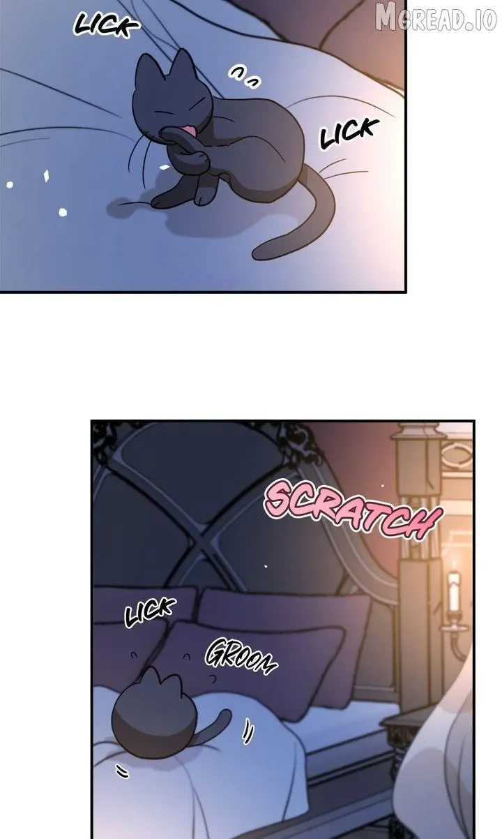 Dragondaily Chapter 87 page 64