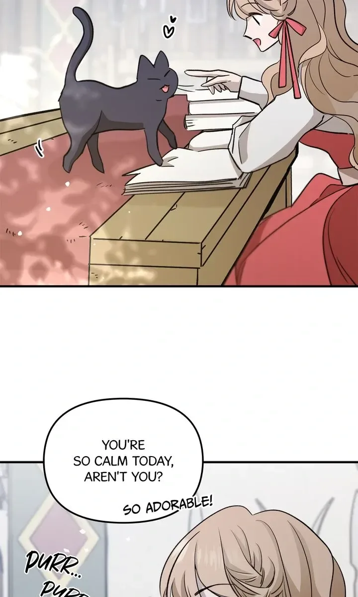Dragondaily Chapter 71 page 49