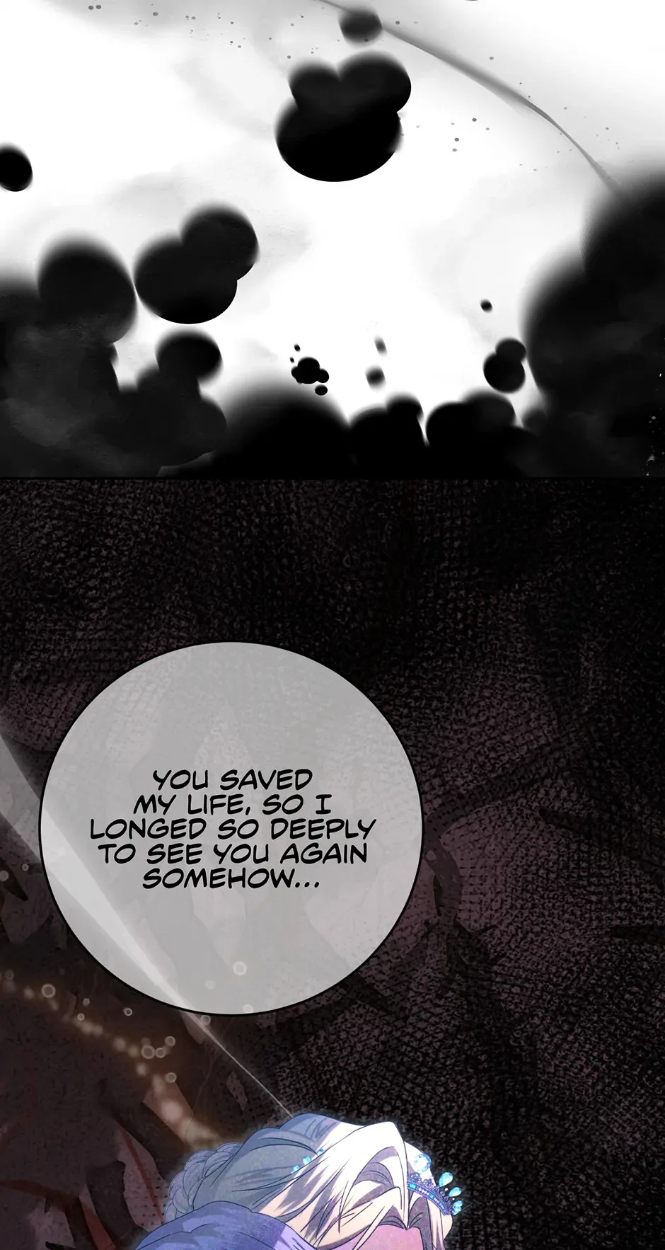 Duchess Mecklen’s Elegant Rebellion Chapter 36 page 7