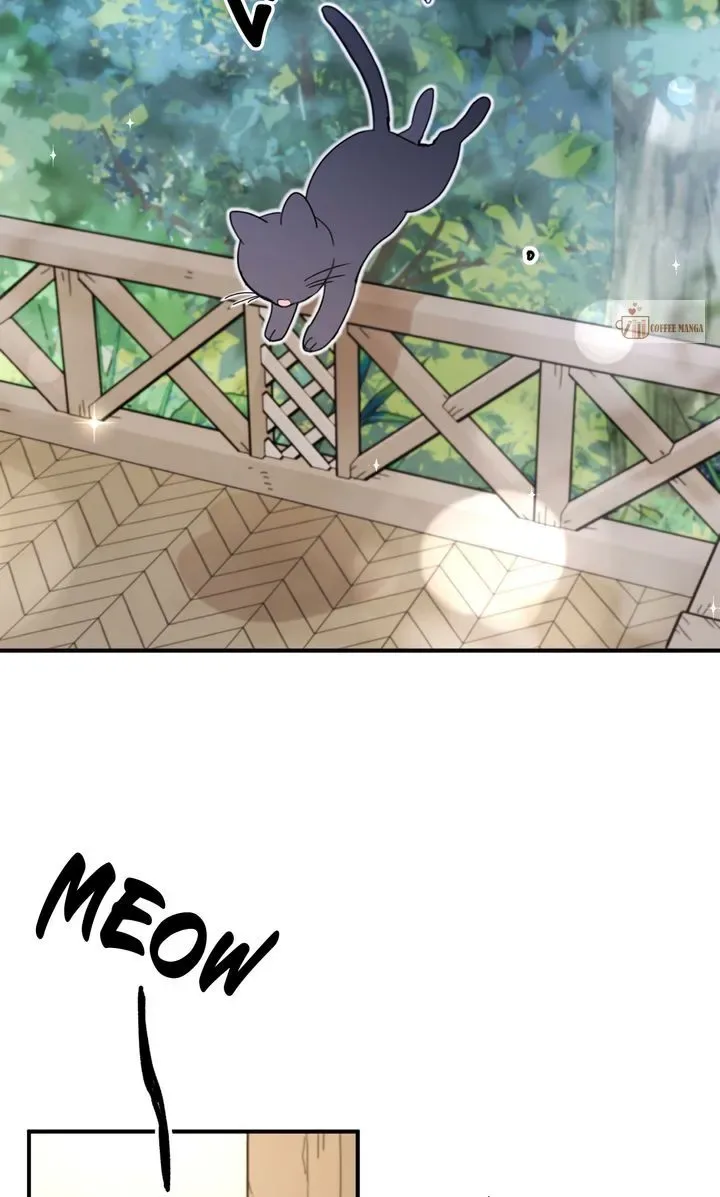 Dragondaily Chapter 42 page 37