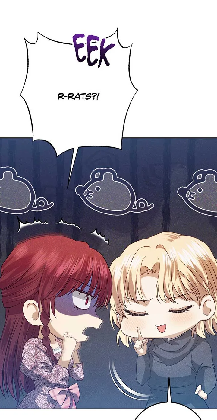 Duchess Mecklen’s Elegant Rebellion Chapter 33 page 18