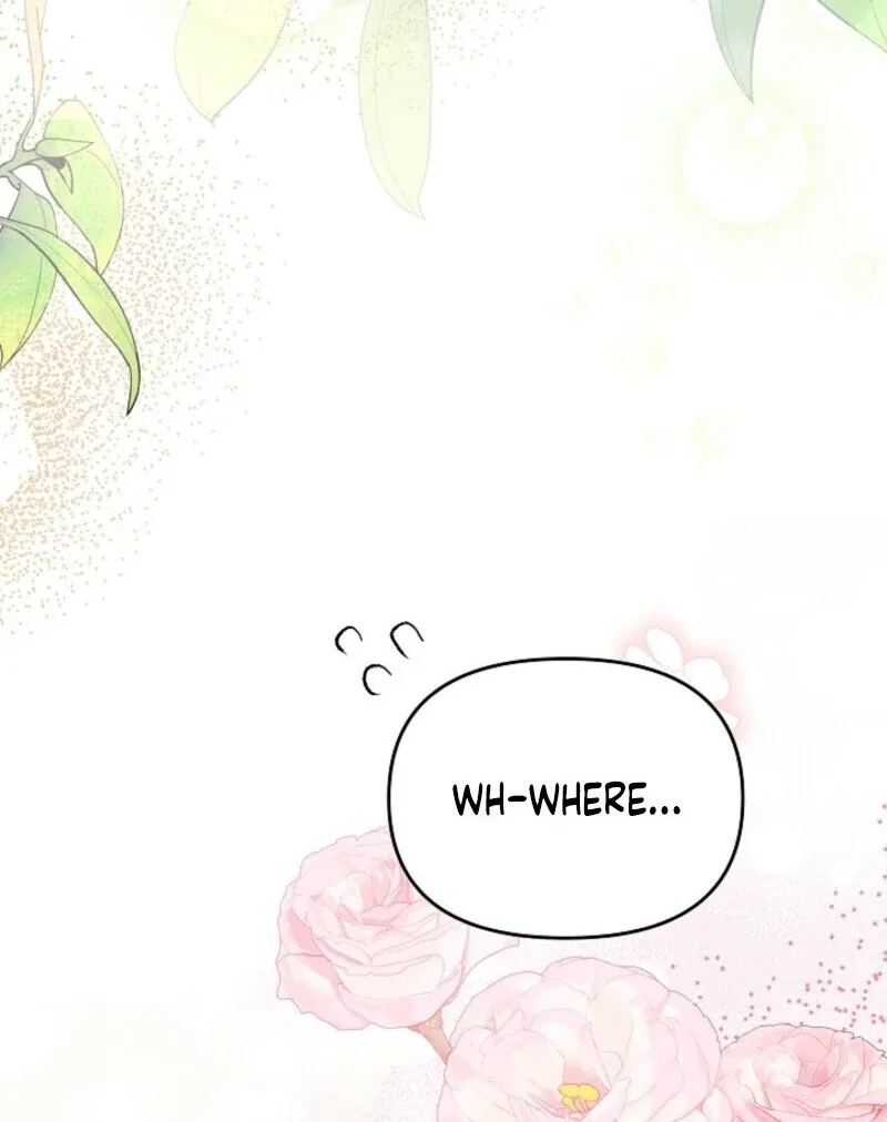 Divorce Plan Chapter 65 page 76