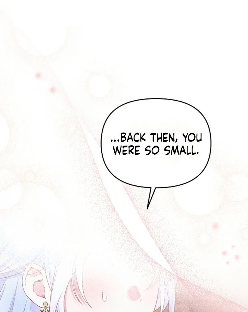 Divorce Plan Chapter 65 page 102