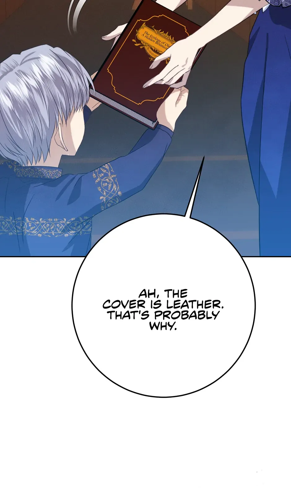 Duchess Mecklen’s Elegant Rebellion Chapter 40 page 7