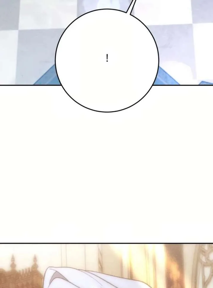 Duchess Mecklen’s Elegant Rebellion Chapter 45 page 119